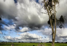 一场1-0！让英超大黑马狂欢：落后阿森纳4分要争2，7队争五差5分.