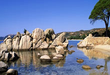 [图]德甲-萨内梅开二度凯恩传射 拜仁主场3-2圣保利.